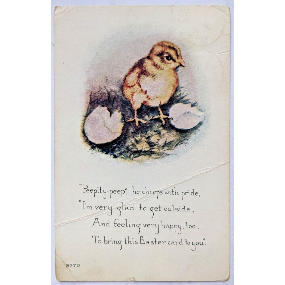 Vintage Antique Easter Postcard‎ Cute Hatching Chick Owen Card Pub. Divided Back